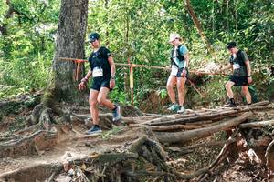 BIB: 
                            <button type="button" onclick="openModal(27717097)" class="btn btn-primary btn-sm float-right btn-popup" data-toggle="modal" data-target=".modal-high-quality">
                        <i class="fas fa-shopping-cart"></i> Add to Cart
                    </button>
                                            <button type="button" onclick="isThisMe(27717097, true)" class="btn btn-success btn-sm float-right btn-popup btn-isme hidden" data-toggle="tooltip" data-placement="bottom" title="นี่คือรูปของคุณใช่ไหม คลิกที่นี่เพื่อเอาเข้าอัลบั้ม">
                        <i class="fas fa-plus"></i> Add to album
                    </button>
                    <button type="button" onclick="isThisMe(27717097, false)" class="btn btn-warning btn-sm float-right btn-popup btn-isnotme hidden">
                        <i class="fas fa-ban"></i> Remove from album
                    </button>